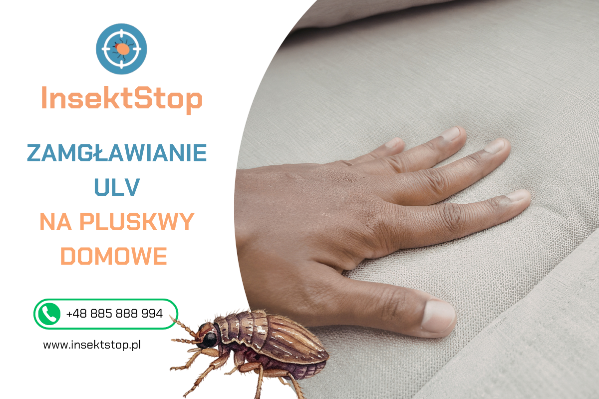  zamgławianie pluskiew insektstop 